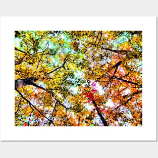 Colors of Fall Posters and Art